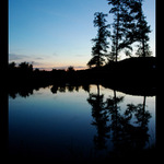 Night Scene
