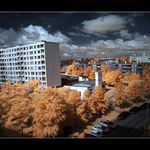 Summer Autumn