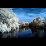 Smradka (totiž Svratka)