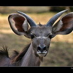 ...no jasné. POČUJEM !!!