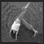 Vo víre senného balu