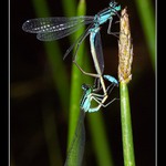 "Přitlač trochu, už budu!"