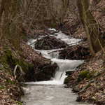 Jarne prebudzanie prirody