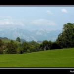 Looking from the window...
