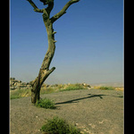 Prototyp telegrafniho sloupu