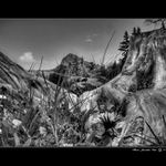 <b> - BOŘEŇ - 1 - </b>