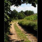 Polní cesta....