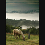 U sousedů to mají vždycky lepší ...