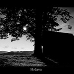 Hrčava