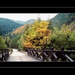 loňský podzim na Strečně :-)