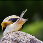 Nepochtívej!<br>Nic ti nedám!