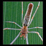 <b>* Nerušte, tapetuji... *</b>