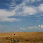 Pozdrav z Jižních Čech