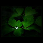 <u>***°oOo***</U><B>