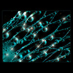 <u>***POLAPENÉ_PERLY***</U><B>