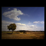 ***STROM NAD KRAJINOU***