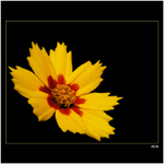 *** ztracena v temnotě ***