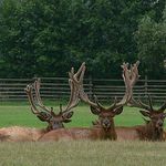 Pohoda která nekončí