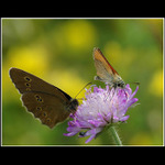 Dva z jednoho města