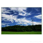 <b>windmills</b>