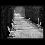 ...na společné cestě