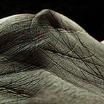 Krajinka na dlani -Panoráma