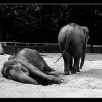 ...já tě varoval...