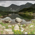 Roháčské pleso