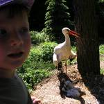 Návštěva u čápa