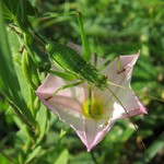 To je můj kalíšek!