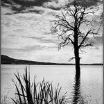 pálavské memento II