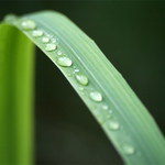 ...hele, v protisměru je volno