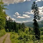 Cestička k domovu...