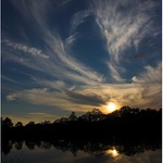 Západofka kýčofka