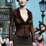 Bitva o Karlův most