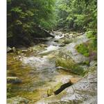 <b>Na Mumlavě III.</b>