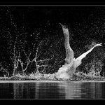 Vodní balet