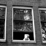 Amsterdam2