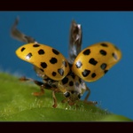 ** Nepovedený start **