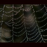 **Jako perly ze štěstíčka **