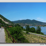 údolím Wachau