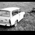 Kdo bude první v cíli ... ?