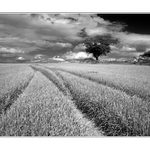 Počkáme tě u cesty...