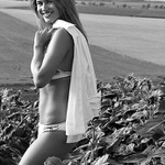 Daniela VII