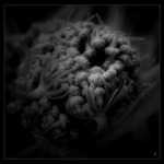 <b>...SEN O ZROZENÍ...<hR></b>(...temná strana...)<br><b>