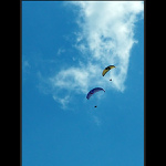 Volní jako ptáci...