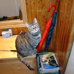 Trudy se chystá na dovolenou