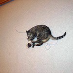 Trudy hlásí návrat. Už jsme se vrátili z dovolené.