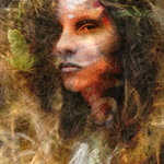 Butterfly's impressions