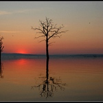 ... NOVÉ MLÝNY ...